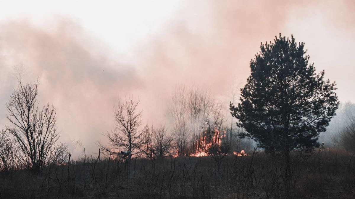 Smoke and flames engulf the forest in Kyiv Oblast, highlighting the threat of wildfires.