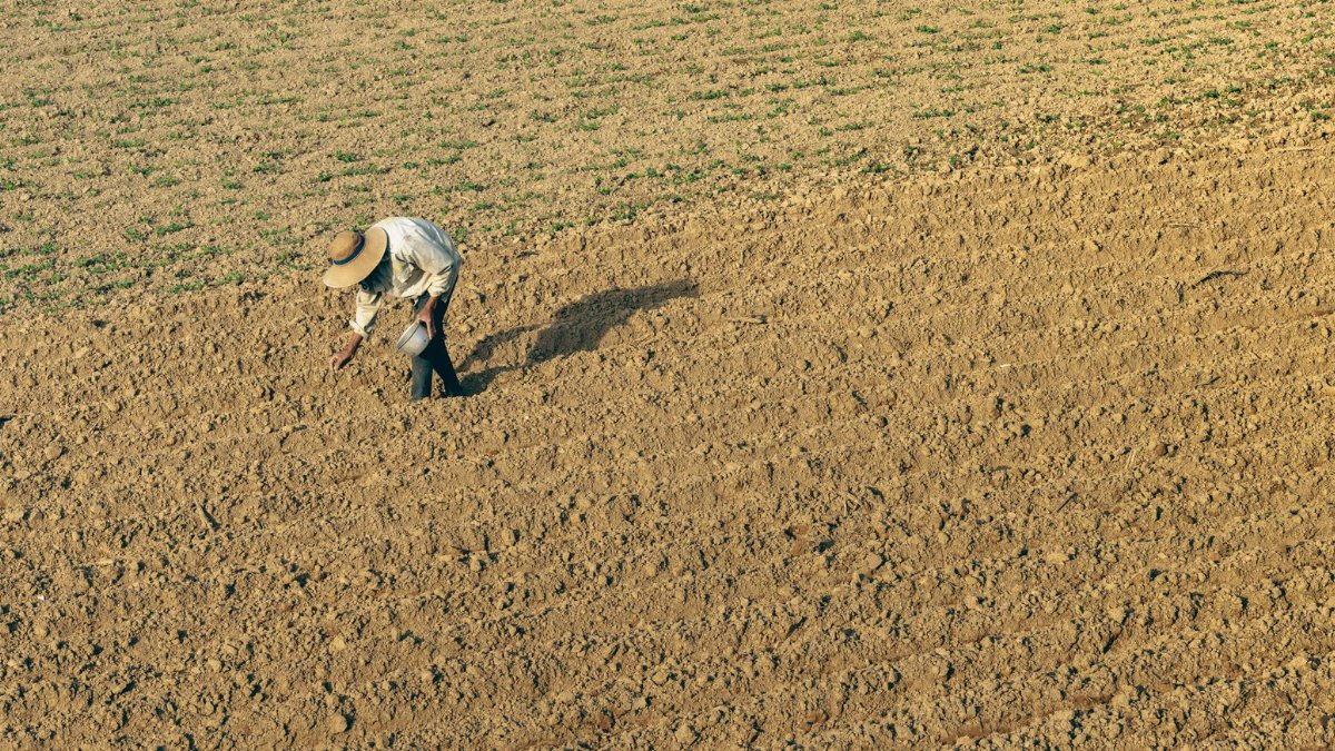 A farmer in a hat working on a dry field under the summer sun.