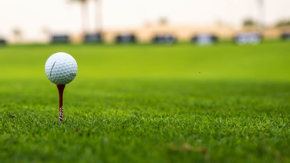Close-up of a golf ball on a tee on a vibrant fairway.