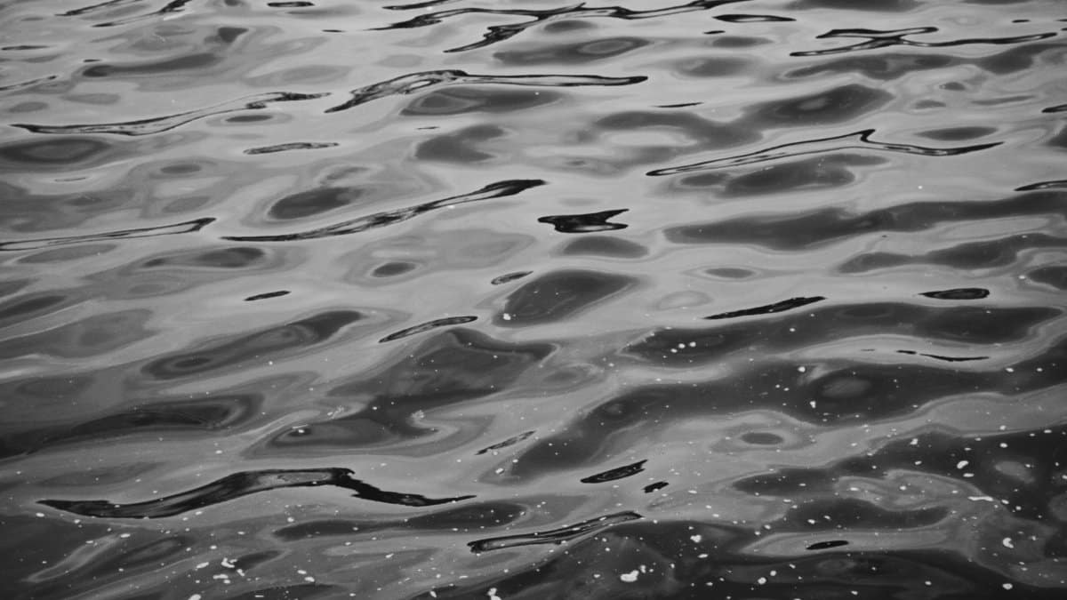 Black and white of abstract background of rippled water of sea in daytime