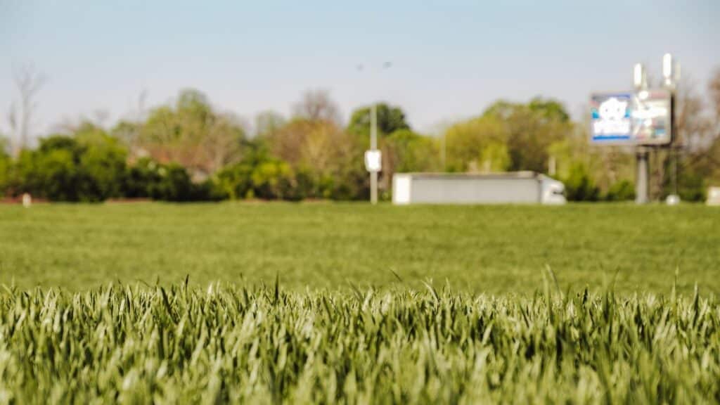 A lush green field with a distant billboard and truck, showcasing serene rural Beograd.