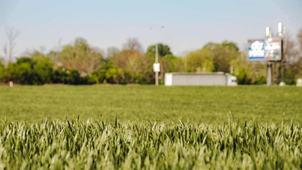 A lush green field with a distant billboard and truck, showcasing serene rural Beograd.