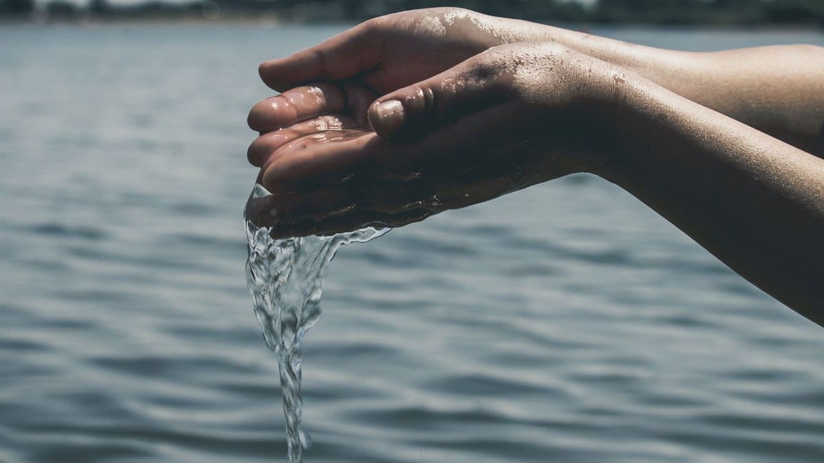 A pair of hands cupping water from a serene lake, symbolizing purity and conservation.