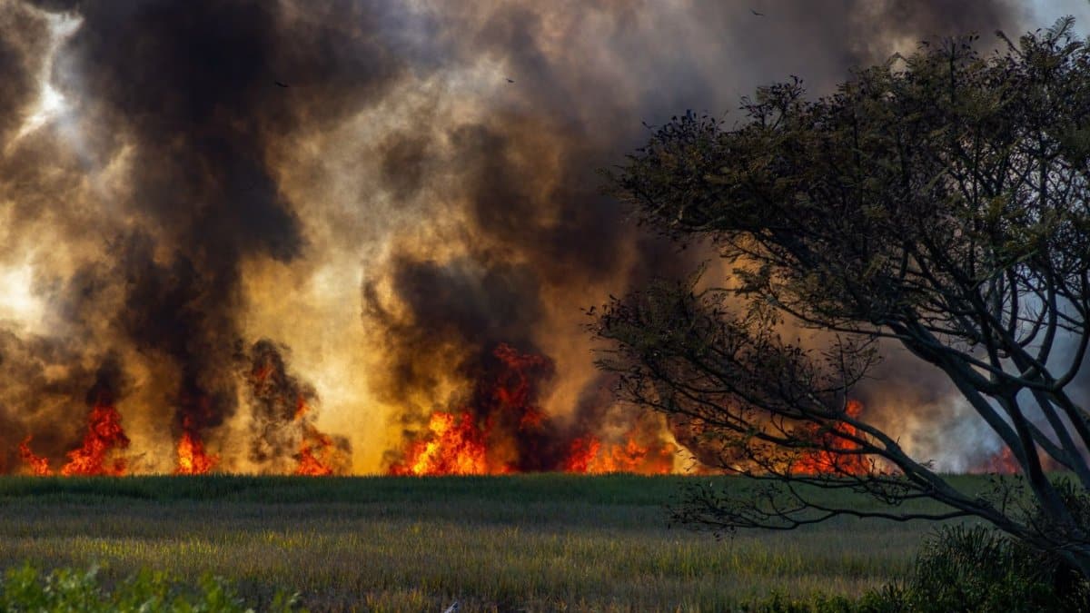 Dynamic image of a wildfire engulfing a countryside field, with thick smoke and flames.