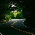A picturesque winding road surrounded by dense green forest in Gloucester, MA, offering a serene and natural setting.