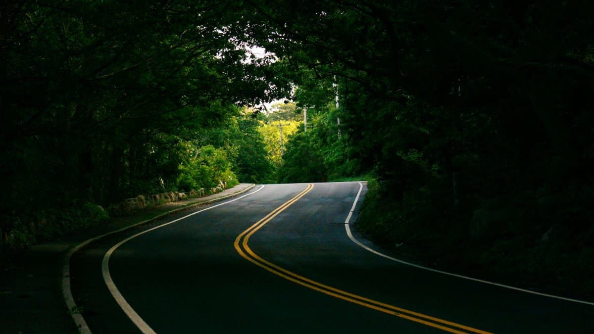 A picturesque winding road surrounded by dense green forest in Gloucester, MA, offering a serene and natural setting.