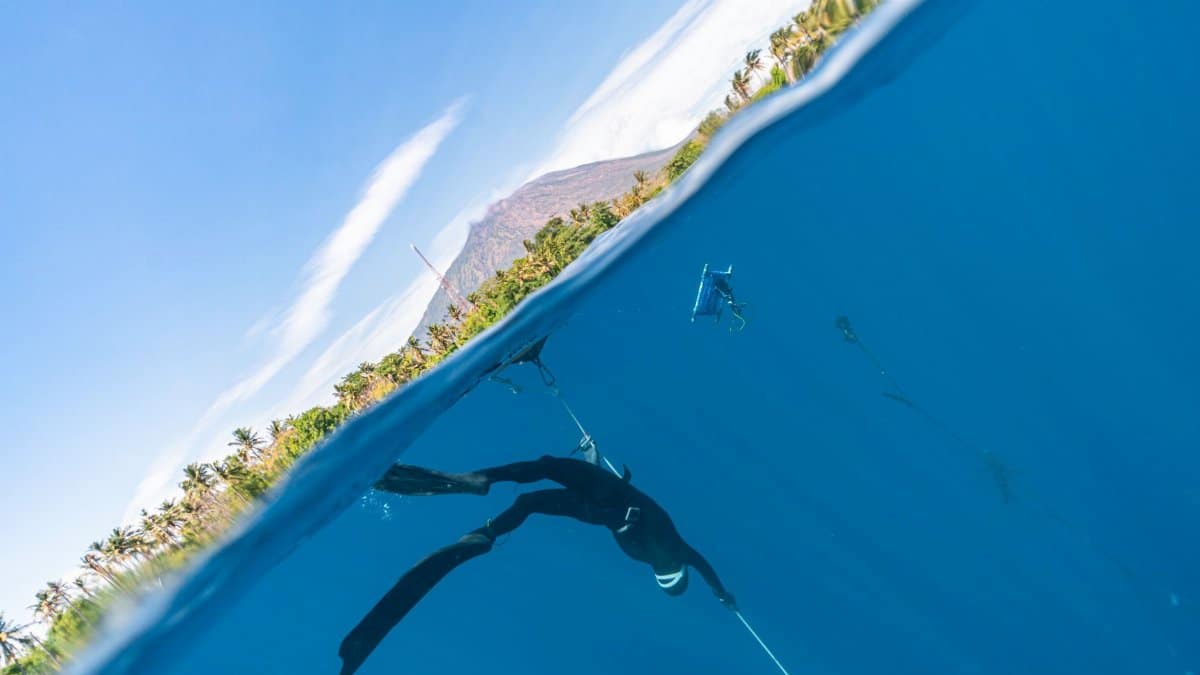 A scuba diver exploring underwater and a vibrant coastal landscape in vivid split-level photography.