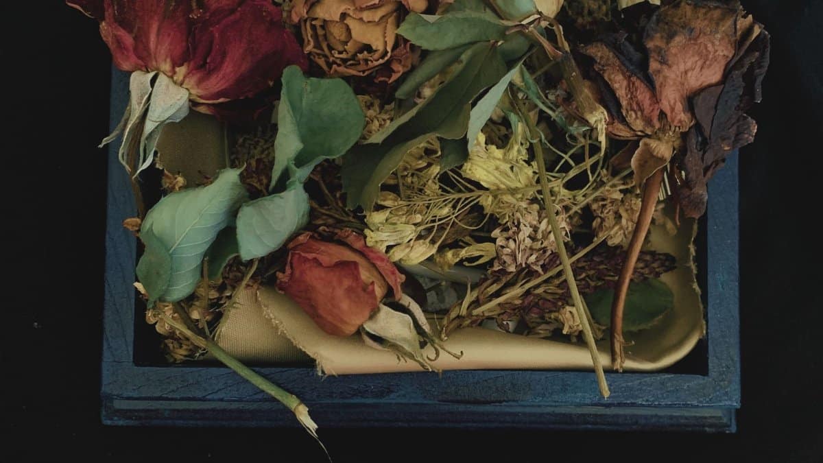 A collection of dried flowers arranged inside a blue wooden box on a black background.