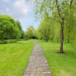Narrow cobblestone path in park with fresh verdant grass and trees under tranquil blue cloudy sky