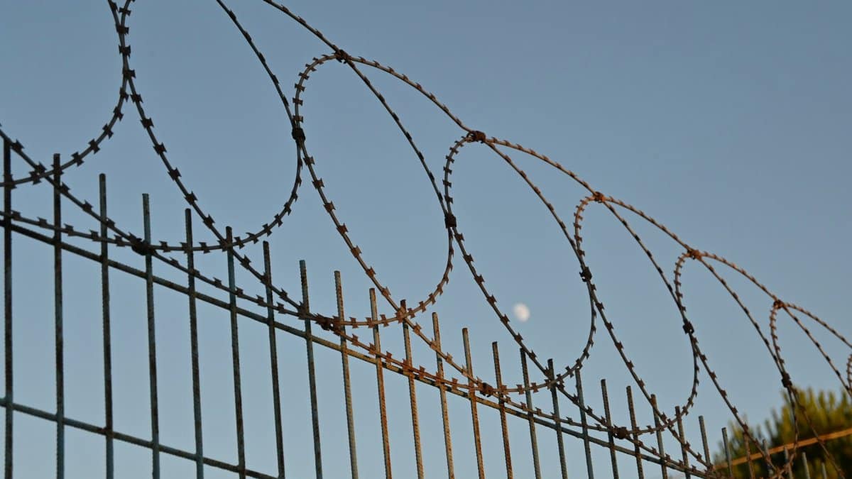 A close-up view of a barbed wire fence under a clear blue sky, suggesting protection and security.