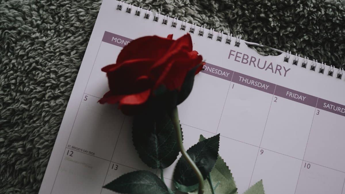 A red rose rests on a February calendar, symbolizing love and Valentine's Day.