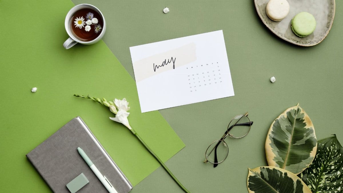 A contemporary still life with tea, calendar, macarons, and plant leaf on a green backdrop.