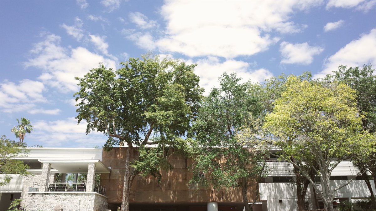 University campus building surrounded by lush trees under a bright blue sky in Coral Gables, Florida.