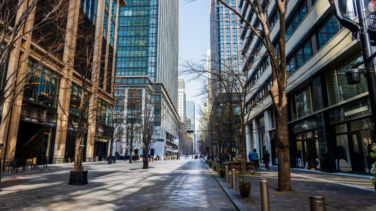Downtown city street lined with modern skyscrapers and bare trees, a bustling urban scene.