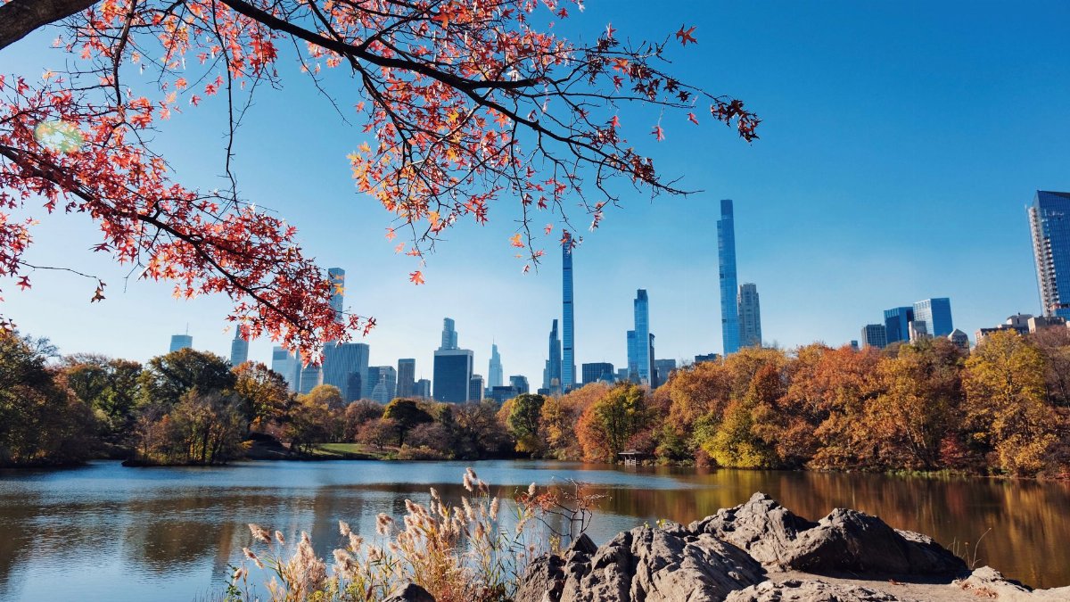 Stunning view of New York City's skyline framed by fall foliage in Central Park.