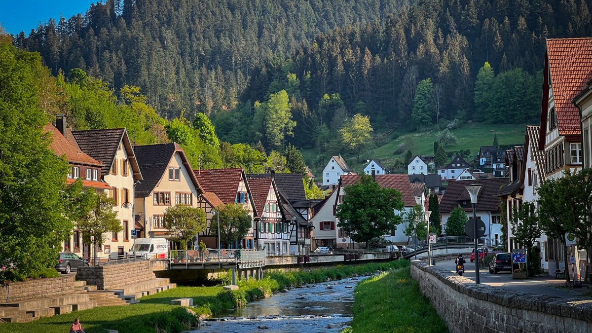 Picturesque European town with traditional houses by a forest creek on a sunny day.