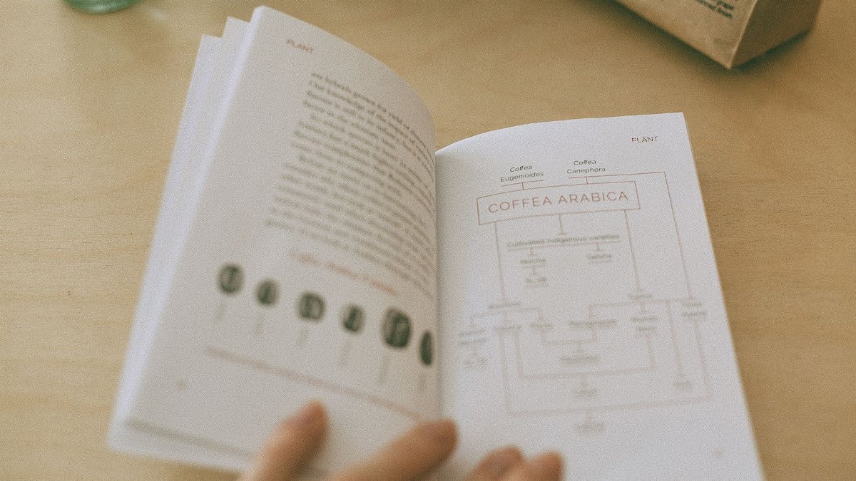 From above of crop anonymous person showing open book with illustration of coffee beans and scheme with text on pages