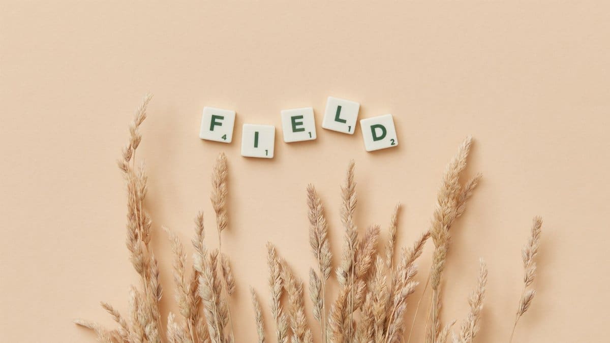 Scrabble tiles forming the word 'field' above wheat on a beige backdrop. Minimalist aesthetic.