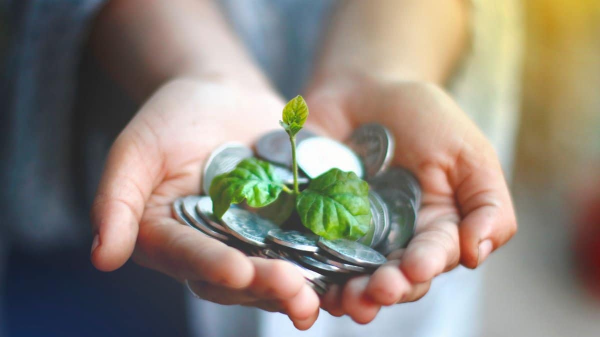 Hands cupping coins with a green plant sprouting, symbolizing financial growth.