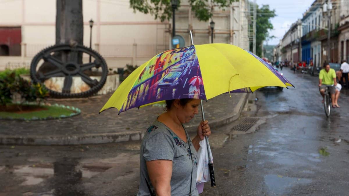 Woman walks on a rainy street holding a vibrant yellow umbrella, showcasing urban life.