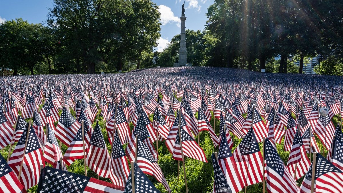 Patriotic display of American flags on a sunny day in Boston Common, Massachusetts.