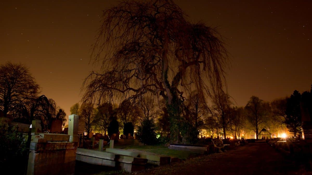 A hauntingly beautiful night view of a cemetery with a spooky atmosphere.