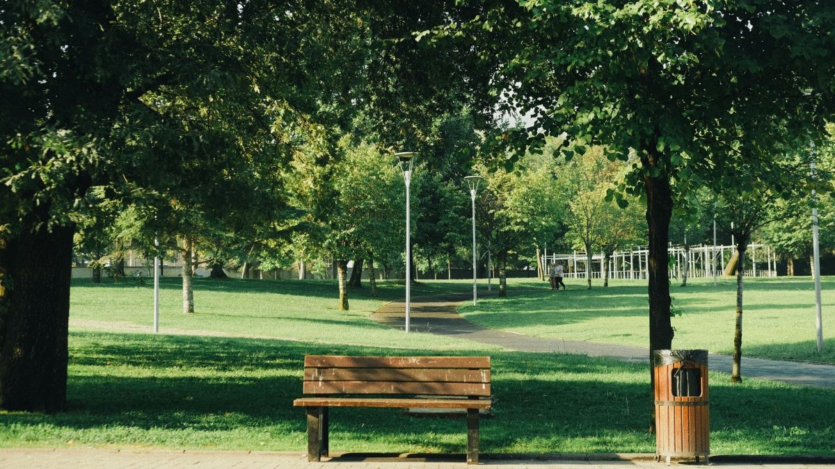 A tranquil park setting with a rustic bench, paved paths, and lush green trees.