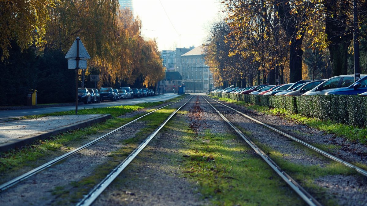 Serene urban railroad view with fall foliage and cars lining the street, capturing a peaceful autumn day.