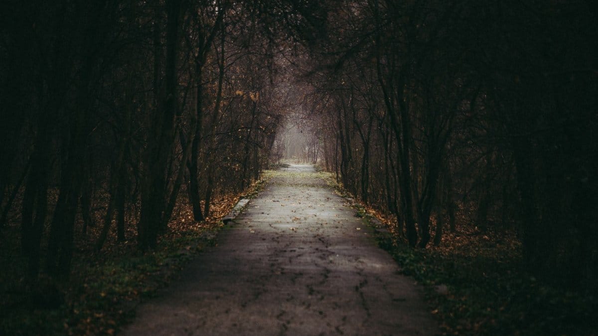 Empty narrow damaged asphalt path near grove with thin leafless trees in dark alley