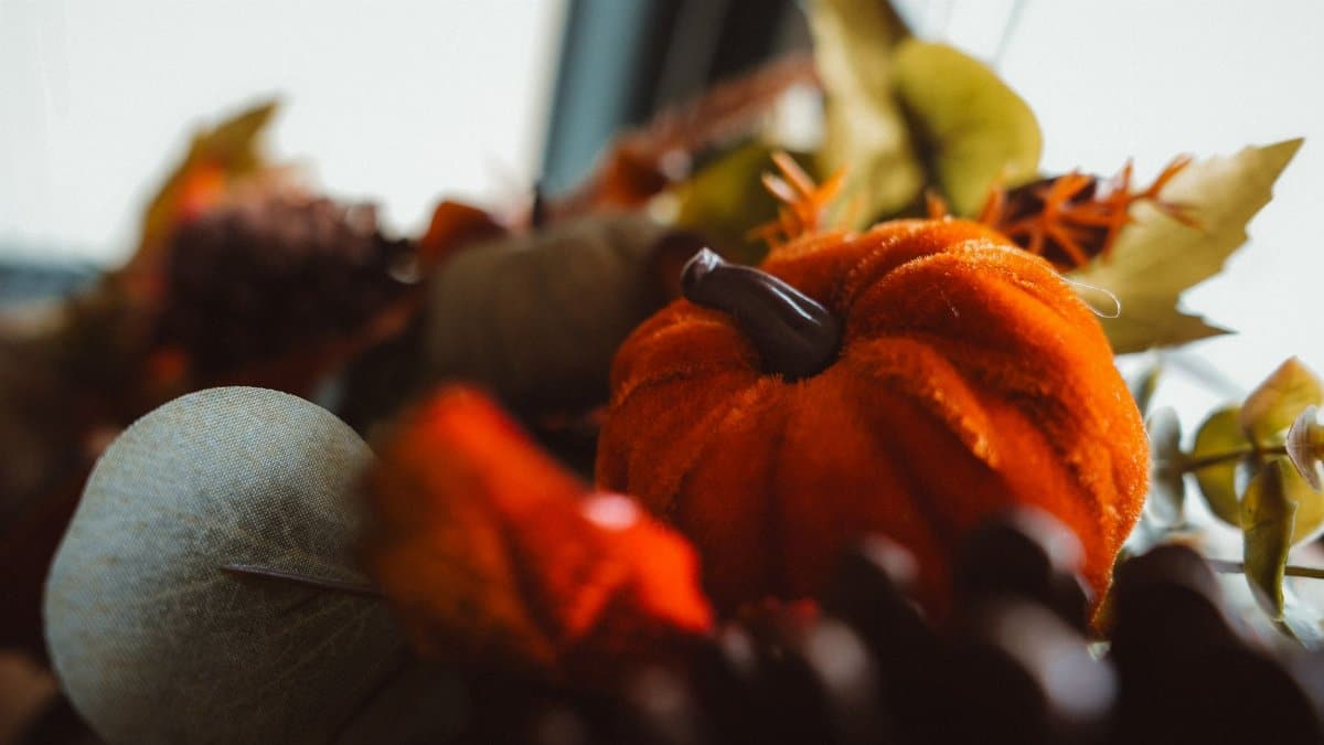 Warm and cozy autumn decor featuring a pumpkin surrounded by fall leaves, capturing the essence of the season indoors.