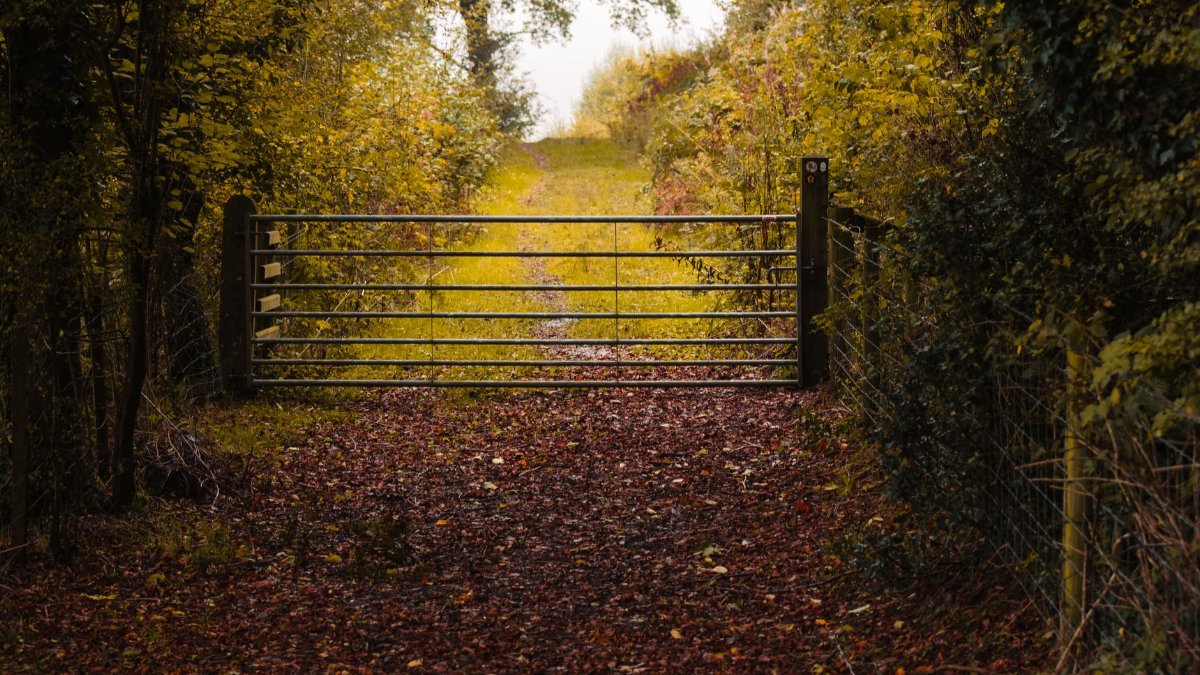 A scenic autumn path with a rustic gate surrounded by vibrant foliage in Wales.