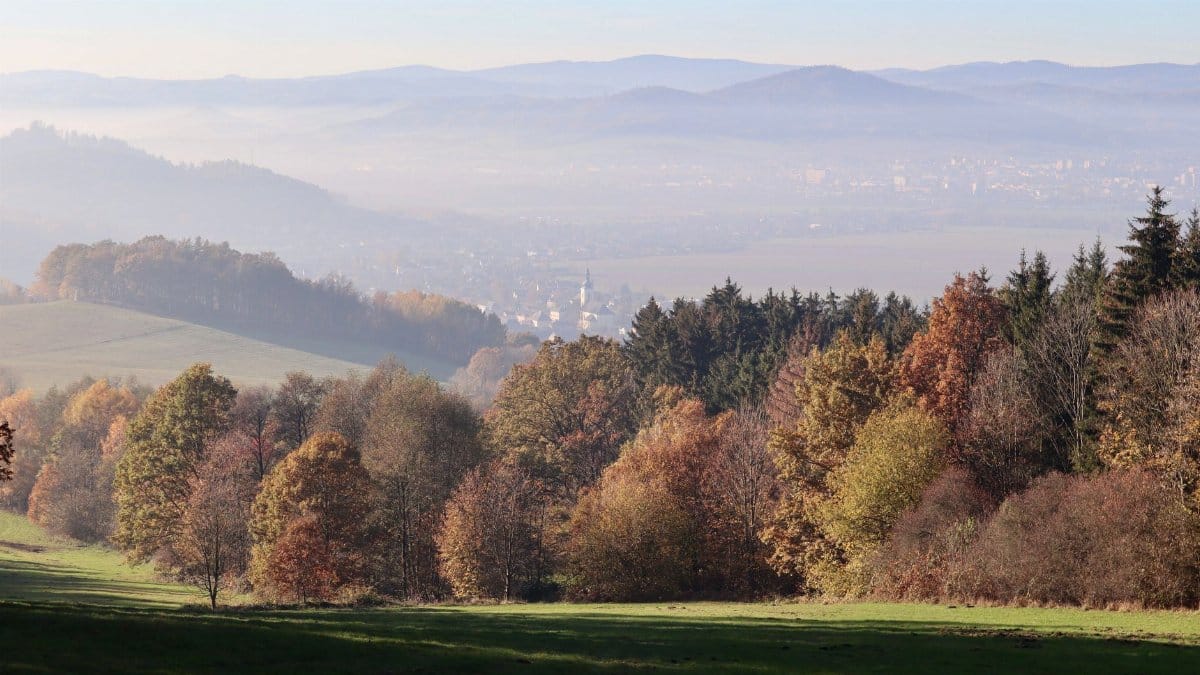 Idyllic view of autumn landscape with colorful forest and misty valley in the distance.