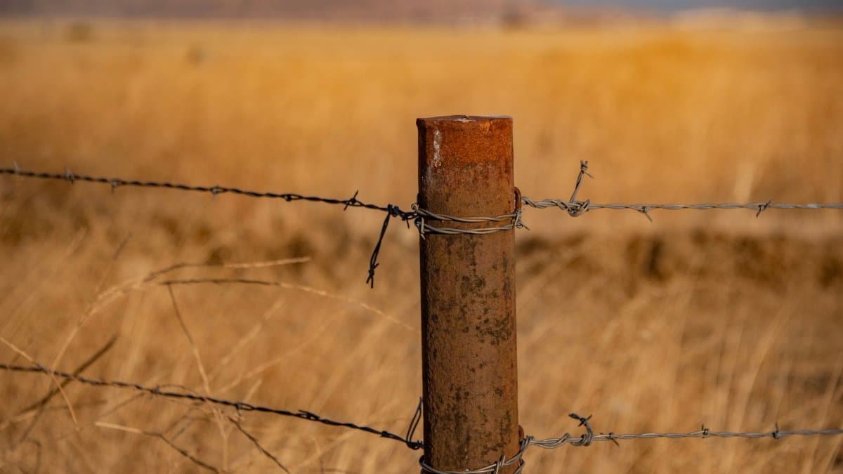 Close-up of a rusty barbed wire fence post in a dry field in Salinas, California.