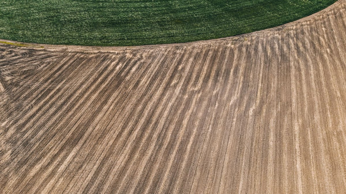 A striking aerial view of green and brown agricultural fields showcasing crop patterns and earth textures.