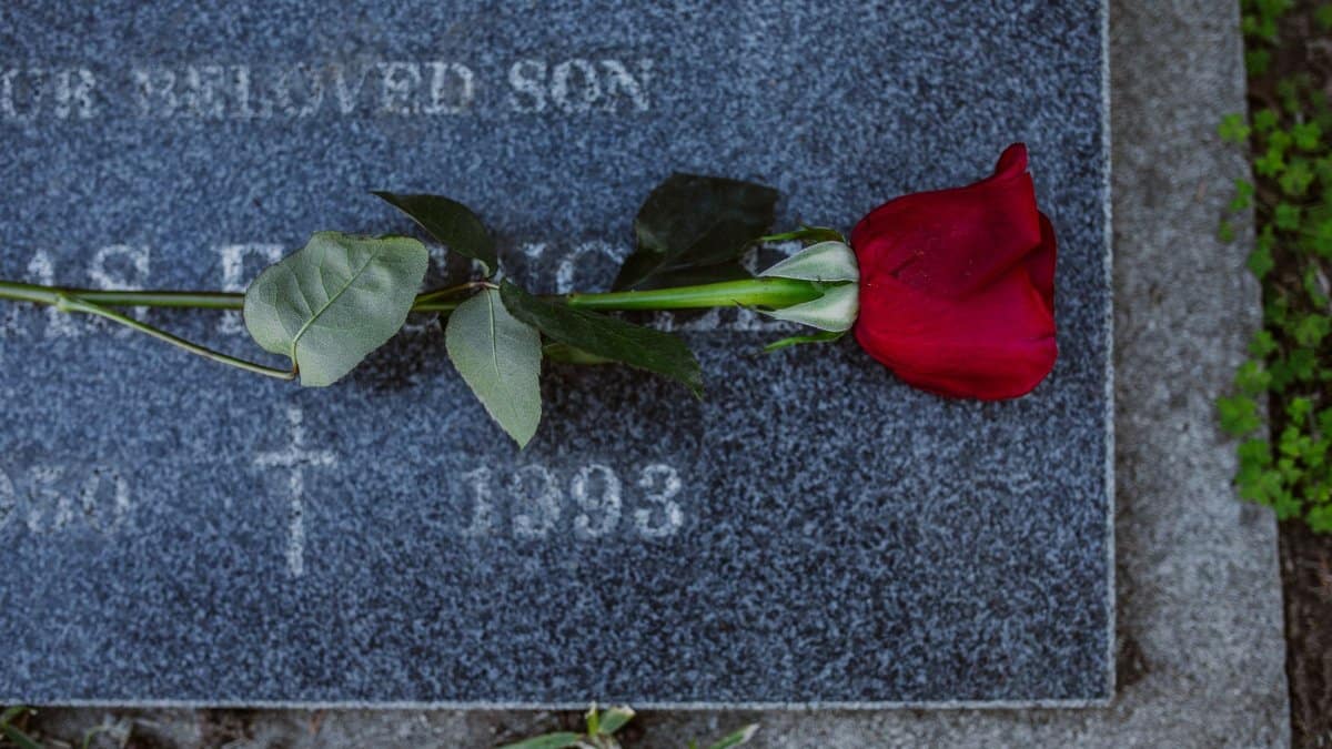 A single red rose placed on a granite tombstone symbolizing remembrance and tribute.
