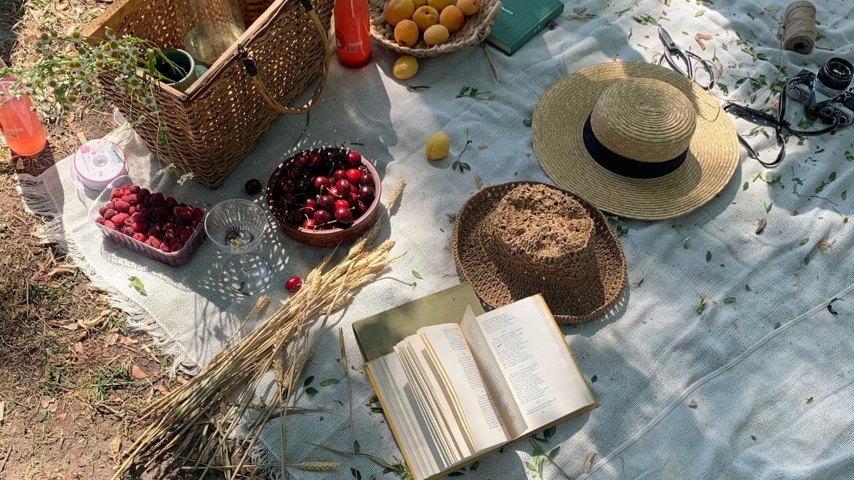 A serene summer picnic spread with apricots, cherries, books, and hats on a blanket.