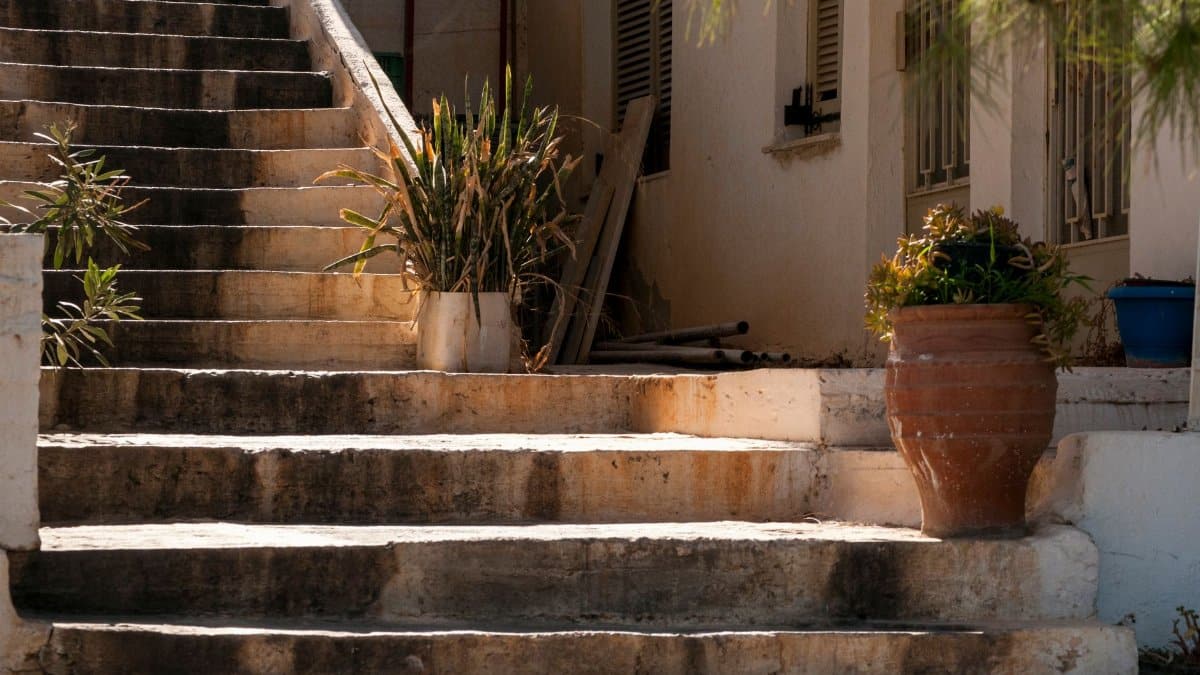 Aged stone staircase with many rough steps and different potted plants near building with fenced windows and tree branch in daylight