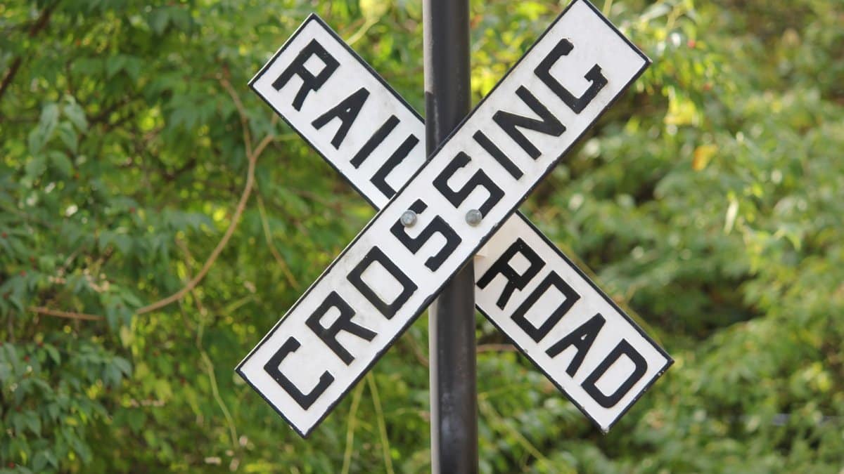 Detailed view of a railroad crossing sign with vibrant green foliage background.