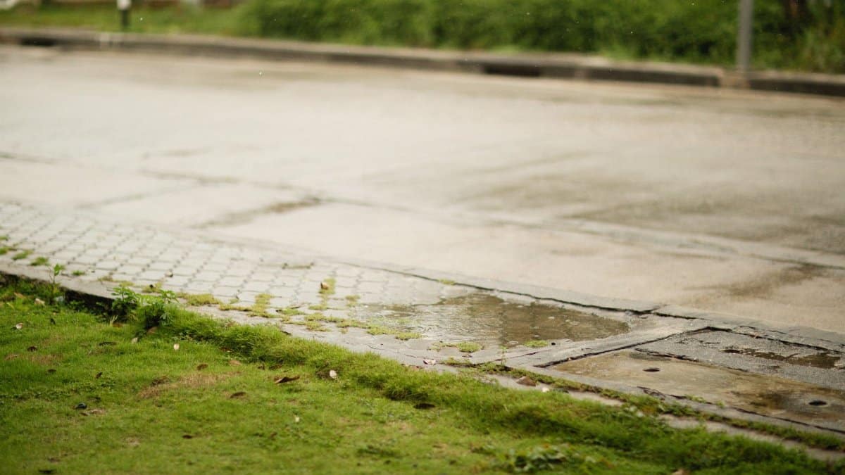 A serene street scene with wet pavement and lush grass after a rain shower, capturing nature's tranquility.