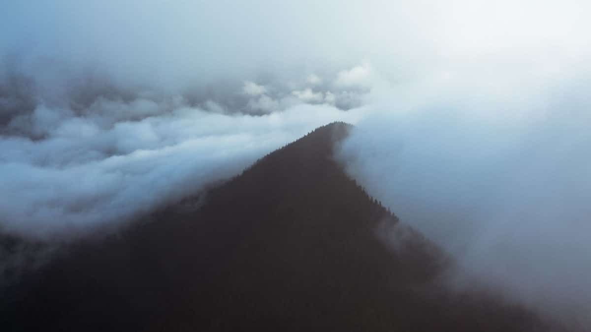 From above of lush wood covering high mountain in mist on altitude under cloudy sky