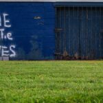 Graffiti reading 'Home of the Braves' on a blue brick wall with grass foreground.