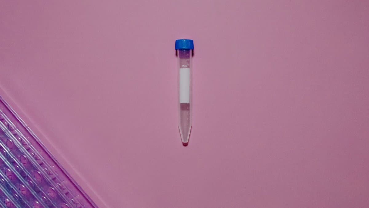 Close-up of a laboratory test tube with blue cap on a vibrant pink background with a glass tray.