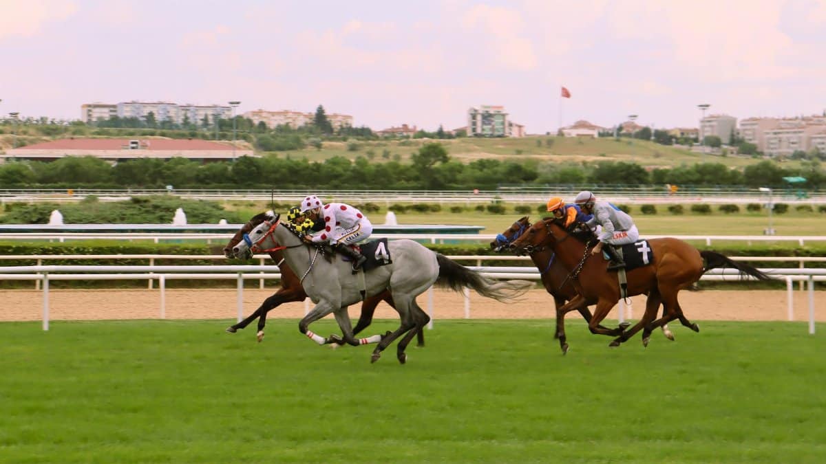 Exciting horse race with jockeys in vibrant apparel competing on a lush green racetrack.