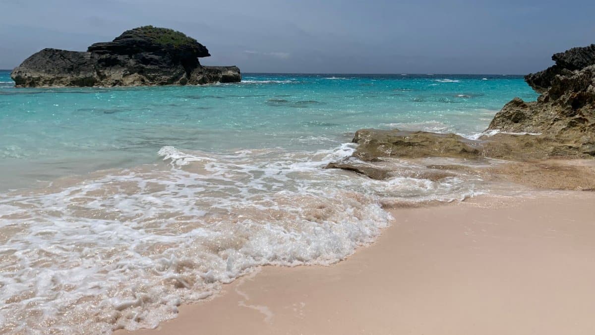 A serene sandy beach in Bermuda featuring turquoise waters and unique rock formations.