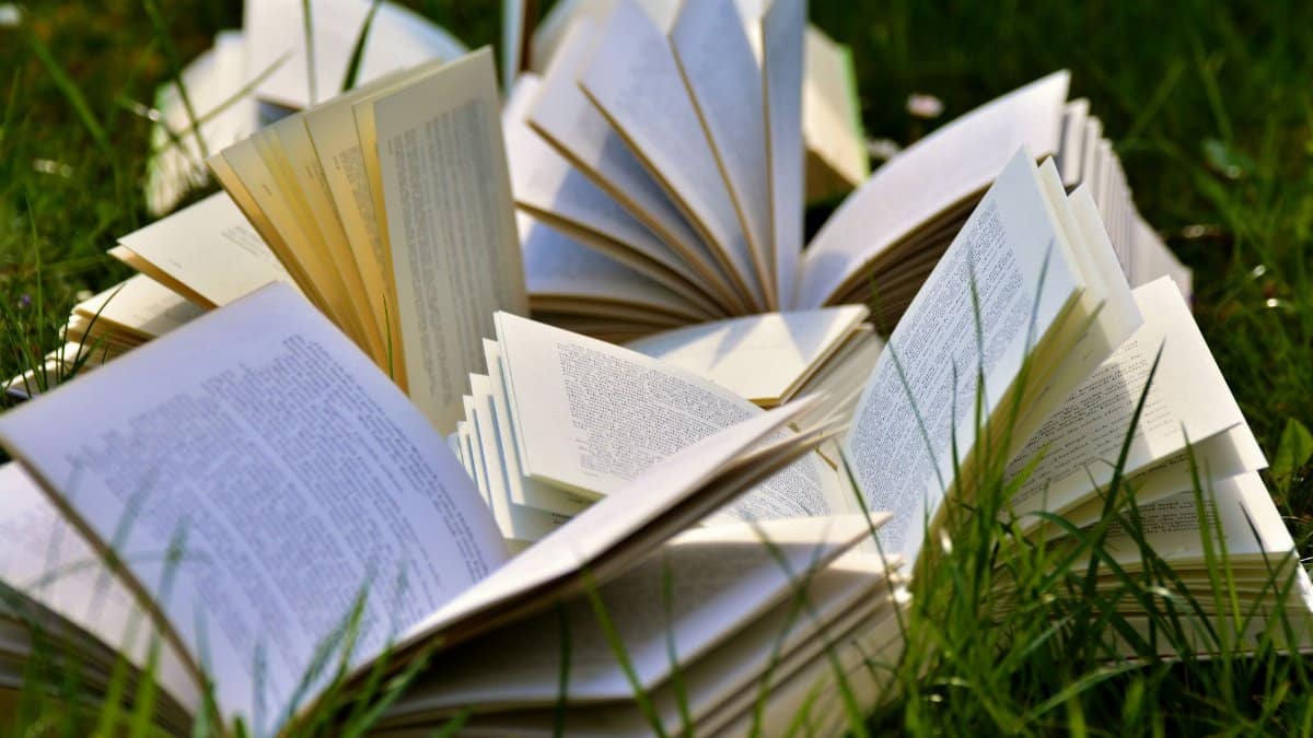 An artistic arrangement of open books in a grassy field, emphasizing a love for outdoor reading.
