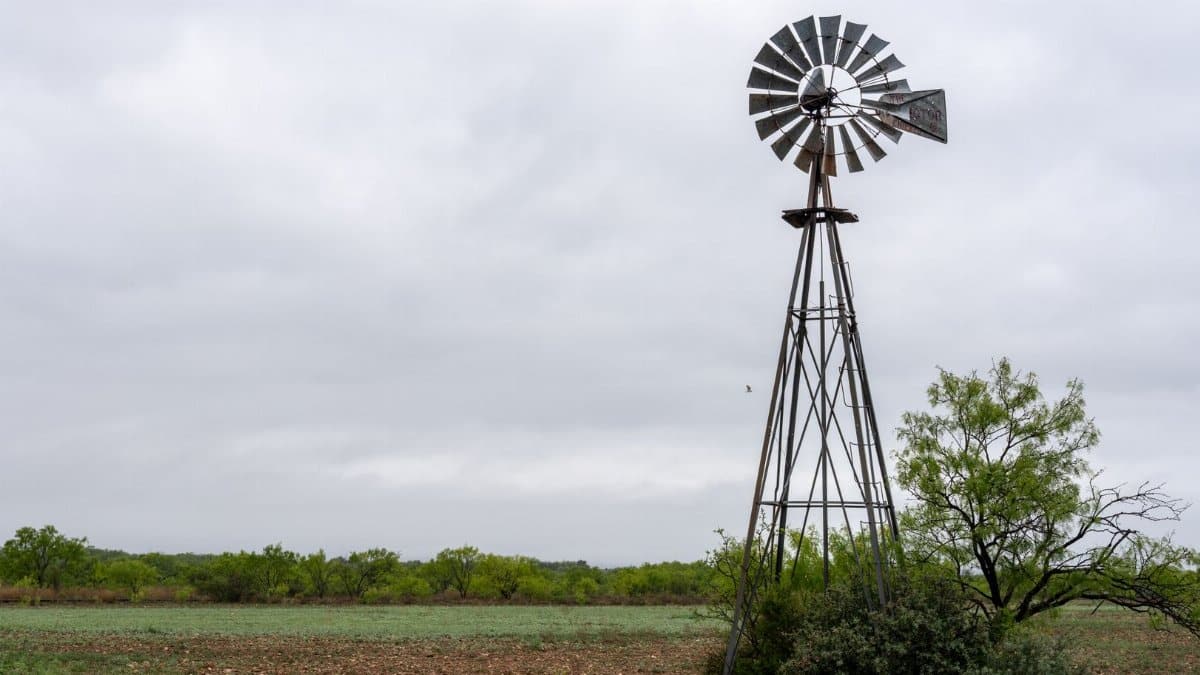 A classic windmill stands in the rural fields of Abilene, Texas under an overcast sky.