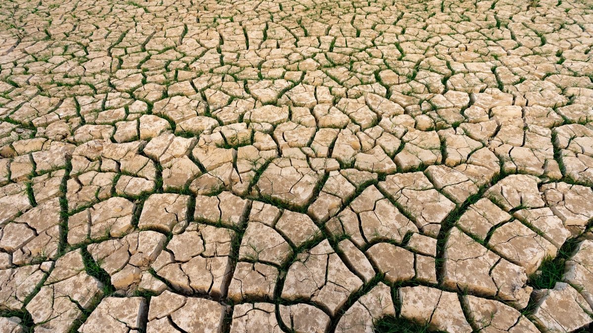 A cracked, dry earth with patches of grass, illustrating drought and climate change.