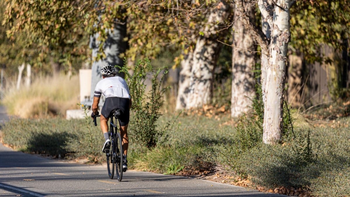 Back view of a cyclist riding a bike on a park trail during a sunny autumn day.