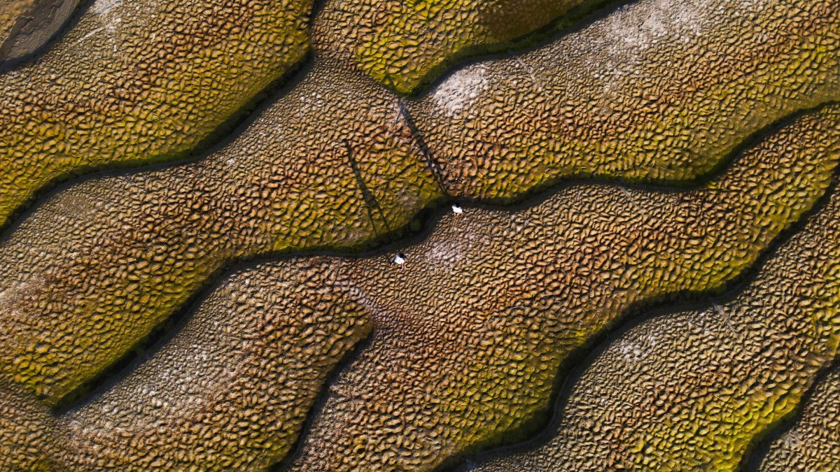 Stunning aerial view showcasing vibrant texture and patterns of a marshland.
