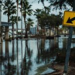 Street view of a flooded road lined with palm trees and a leaning traffic sign, reflecting urban flooding.
